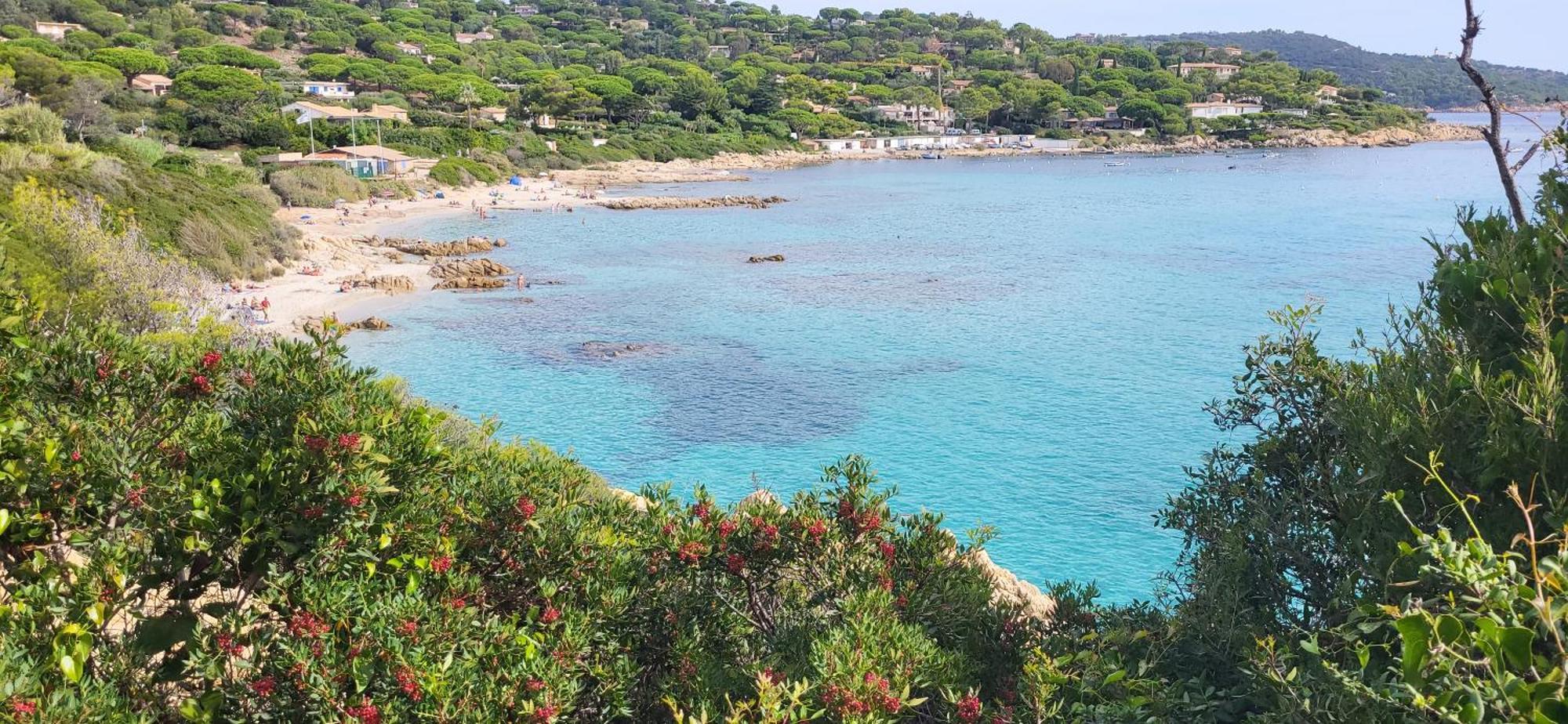 L'Aloe Vera Le Plan-de-la-Tour Kültér fotó